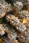 Black Box Trees Charlton Smalle Kunstkerstboom met Warm Witte LED Verlichting - H155 x Ø48 cm - Groen Frosted