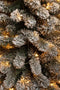 Black Box Trees Charlton Smalle Kunstkerstboom met Warm Witte LED Verlichting - H230 x Ø58 cm - Groen Frosted