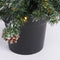 Black Box Trees Creston Set van 2 Kerstbomen en 1 Krans met LED Verlichting - Groen
