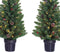Black Box Trees Creston Set van 2 Kerstbomen en 1 Krans met LED Verlichting - Groen