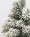 Black Box Trees Dinsmore Artificial Christmas Tree in Pot - H90 x Ø50 cm - Frosted Green