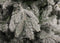 Black Box Trees Frasier Kunstkerstboom - 109x109x155 cm - PVC - Groen