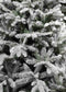 Black Box Trees Frasier Kunstkerstboom - 124x124x185 cm - PVC - Groen