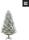 Black Box Trees Frasier Kunstkerstboom - 124x124x185 cm - PVC - Groen