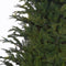 Black Box Trees Frasier Kunstkerstboom - H185 x Ø124 cm - Groen