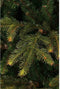Black Box Trees Frasier Kunstkerstboom - H185 x Ø124 cm - Groen