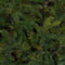 Black Box Trees Frasier Kunstkerstboom - H185 x Ø124 cm - Groen