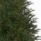 Black Box Trees Frasier Kunstkerstboom - H185 x Ø124 cm - Groen
