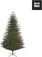 Black Box Trees Frasier Kunstkerstboom - H215 x Ø145 cm - Groen