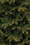 Black Box Trees Frasier Kunstkerstboom - H215 x Ø145 cm - Groen