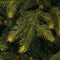 Black Box Trees Frasier Kunstkerstboom - H215 x Ø145 cm - Groen