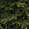 Black Box Trees Frasier Kunstkerstboom - H215 x Ø145 cm - Groen