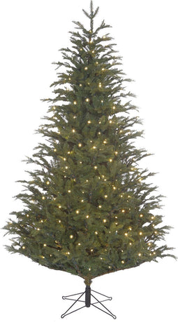 Black Box Trees Frasier Kunstkerstboom met LED Verlichting - H185 cm - Groen
