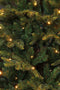 Black Box Trees Frasier Kunstkerstboom met LED Verlichting - H185 cm - Groen
