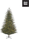 Black Box Trees Frasier Kunstkerstboom met LED Verlichting - H185 cm - Groen