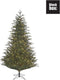 Black Box Trees Frasier Kunstkerstboom met LED Verlichting - H215 cm - Groen