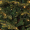 Black Box Trees Frasier Kunstkerstboom met LED Verlichting - H215 cm - Groen