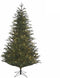 Black Box Trees Frasier Kunstkerstboom met LED verlichting - H260 cm - groen