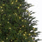 Black Box Trees Frasier Kunstkerstboom met LED verlichting - H260 cm - groen