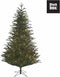 Black Box Trees Frasier Kunstkerstboom met LED verlichting - H260 cm - groen