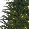 Black Box Trees Frasier Kunstkerstboom met LED verlichting - H260 cm - groen
