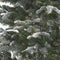 Black Box Trees Frosted Stelton Kunstkerstboom - H215 cm - Groen