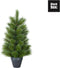 Black Box Trees Glendon Kunstkerstboom in Pot - H60 cm - groen