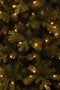Black Box Trees Harma Smalle Kunstkerstboom met LED Verlichting - H215 x Ø66 cm - Groen