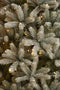 Black Box Trees Nagoya Kunstkerstboom met Warm Witte LED Verlichting - H210 x Ø115 cm - Groen Frosted