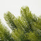 Black Box Trees Nigata Guirlande - L270 cm - Groen