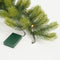 Black Box Trees Nigata Guirlande met LED Verlichting - L180 cm - Groen