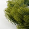 Black Box Trees Nigata Kerstkrans - Ø60 cm - Groen
