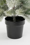 Black Box Trees Nigata Kunstkerstboom in Pot - H90 x Ø55 cm - Groen Frosted