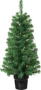 Black Box Trees Norton Set van 2 Kunstkerstbomen en 1 Kerstkrans met LED Verlichting - Groen Frosted