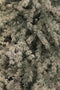 Black Box Trees Springdale Kunstkerstboom - H215 cm - Wit