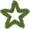 Black Box Trees Ster 330 Tips Kerstkrans - 90x90x8.5 cm - PVC - Groen