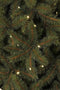 Black Box Trees Toronto Kunstkerstboom met LED verlichting - H215 cm - groen