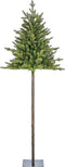 Black Box Trees - Torrey kerstboom groen TIPS 420 - h185xd84cm- Kerstbomen