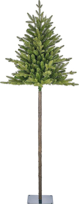 Black Box Trees - Torrey kerstboom groen TIPS 420 - h215xd84cm- Kerstbomen