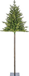 Black Box Trees - Torrey kerstboom groen TIPS 420 - h215xd84cm- Kerstbomen