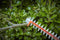 BLACK+DECKER BCHTS36B-QW Heggenschaar - 36V - 55cm - Zonder accu en lader