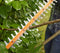 BLACK+DECKER BEHT251-QS Heggenschaar - 450W - 50cm - gesnoerd