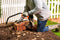 BLACK+DECKER Beugelzaag BXGTTO7032 - 21