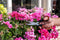 BLACK+DECKER Bloemenschaar - Multifunctionele Tuinschaar - Snijblad van Staal - Kunststof Handvat - Bloemensnijder en Snoeischaar - Zwart/Oranje