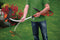 BLACK+DECKER GL7033-QS Elektrische Grastrimmer - 700W - 33cm - inclusief 5 HDL draden