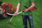 BLACK+DECKER GL8033-QS Grastrimmer - 800W - 33cm - gesnoerd