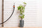 BLACK+DECKER Plantenbinders BXGTTO7062 - 50 Stuks Plantenklemmen - Verstelbare Plantenclips - Kunststof - Groen