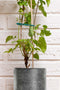BLACK+DECKER Plantenbinders BXGTTO7062 - 50 Stuks Plantenklemmen - Verstelbare Plantenclips - Kunststof - Groen