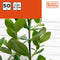 BLACK+DECKER Plantenringen 50 Stuks - Plantenbinders - Voorkomt Knikken, Buigen en Breken - Kunststof - Groen