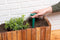 BLACK+DECKER Pootstok met Maataanduidingen 0-10CM - Bollenplanter - Perfect voor Zaadjes Planten - 11 x 17,4 x 2,5 CM - Groen